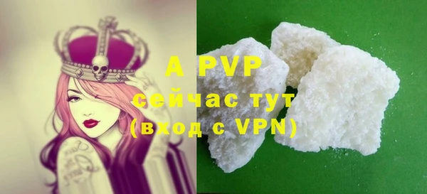 хмурый Михайловск