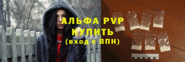хмурый Михайловск