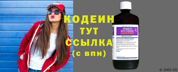 стафф Бородино