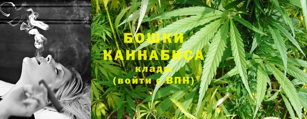 хмурый Михайловск