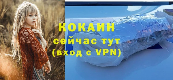 хмурый Михайловск