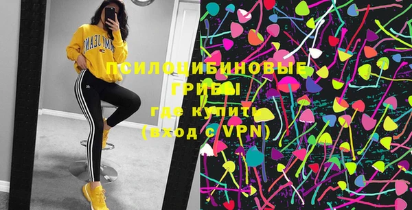 хмурый Михайловск