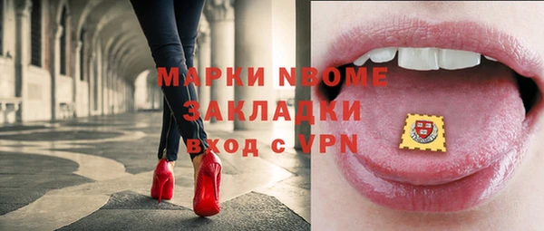 хмурый Михайловск