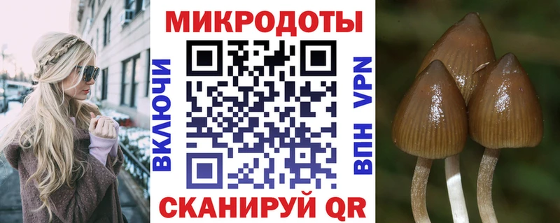 площадка Telegram  наркота  Галич  Псилоцибиновые грибы GOLDEN TEACHER 